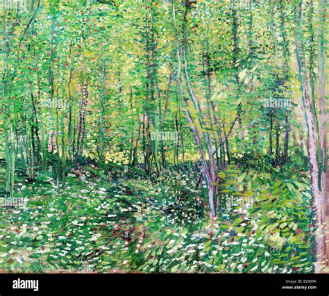 Vincent van Gogh, Trees and Undergrowth 1887 Post-Impressionism. Oil on canvas. Van Gogh Museum ...