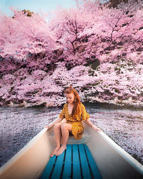 Shooting Sakura: Getting the Best Photos from Japan’s Cherry Blossom Season - Travelogues from ...