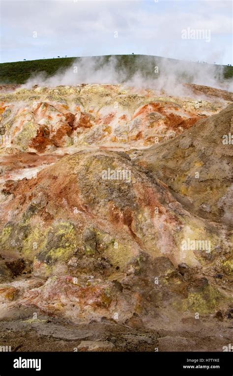 Steaming sulphur fumaroles, Alcedo Volcano, Isabella Island, Galapagos ...