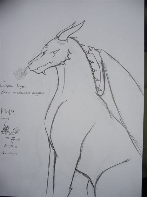 European dragon sketch by InvaderTarren13 on DeviantArt