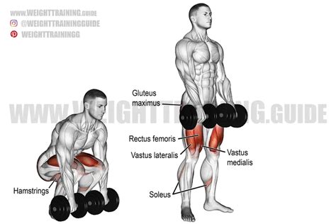 Dumbbell deadlift exercise guide and video | Weight Training Guide