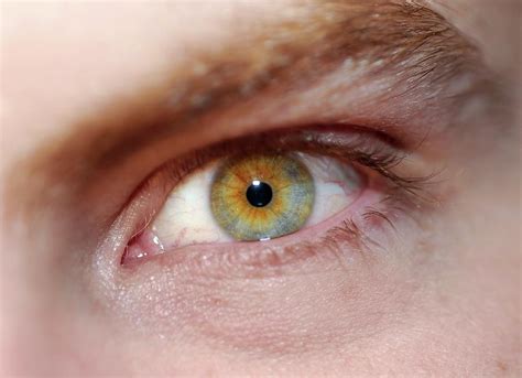 Man's Eye Photograph by Cordelia Molloy/science Photo Library - Fine Art America