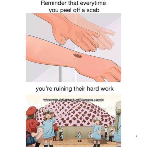 I love platelets : r/animememes