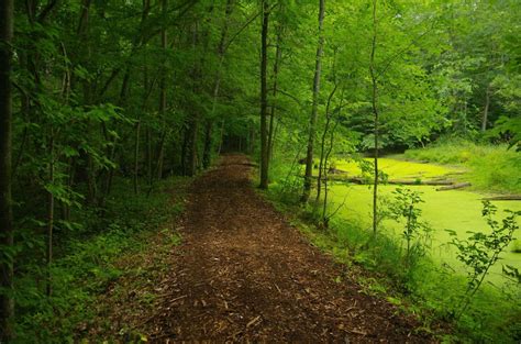 Sapsucker Woods (Ithaca, NY) : r/hiking