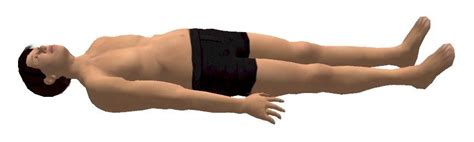 supine: lying on the back or having the face upward