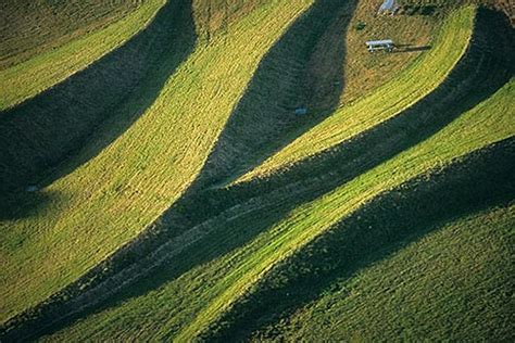 California, San Francisco, Aerial view of Crissy Field | David Sanger Photography