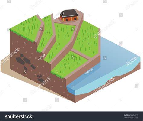 Terrace Farming Land Isometric Vector Illustration Stock Vector ...