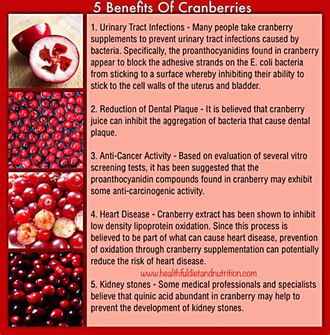 5 Benefits of Cranberries | Healthful Diet & Nutrition