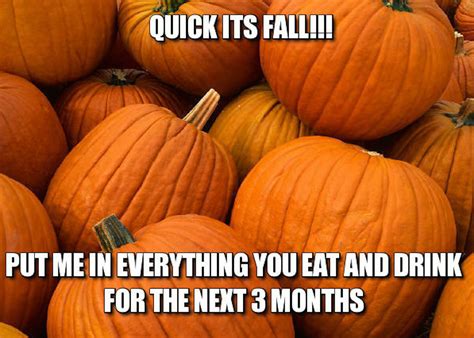 12 Fall Memes That Will Get You Ready For Your Favorite Season