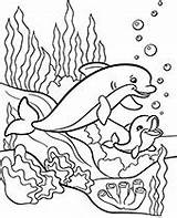 Water animals coloring Pages For Children  Topcoloringpagesnet sketch template