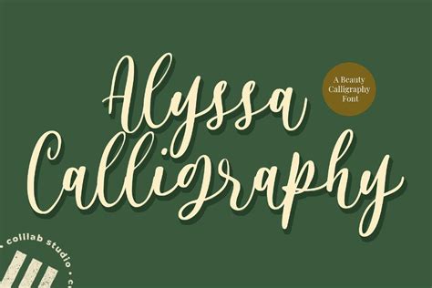 Alyssa Calligraphy Font - Dfonts