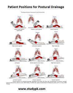 Percussion - Physiopedia | Physical therapy education, Physical therapy ...