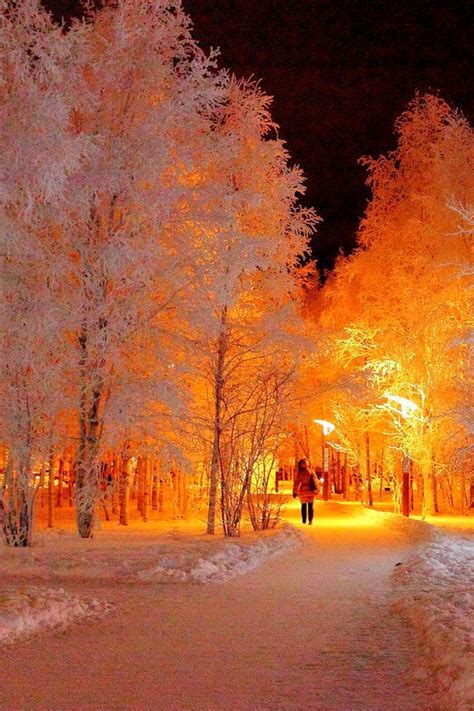 Winter's Glow Amazing Nature, Simply Beautiful, Beautiful Forest ...
