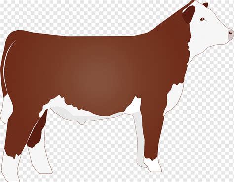 Herferd Cow Clipart