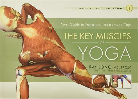 Key Muscles of Yoga: Your Guide to Functional Anatomy in Yoga- Buy Online in United Arab ...