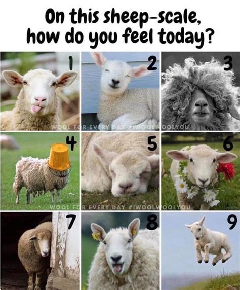 How Are You Feeling Today Meme Chart - Resume Themplate Ideas