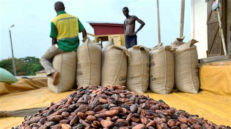 What a shame on Ghana for always seeking foreign loans to purchase cocoa from cocoa farmers!