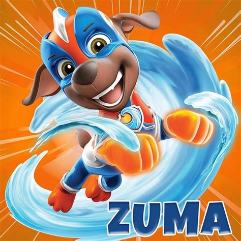 PAW Patrol en Instagram: “Mighty Zuma! With his water power, Zuma can… | Patrulla de cachorros ...