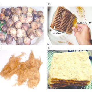 Steps of betelnut fibre preparation. (a) Raw betelnuts (b) Fibre ...