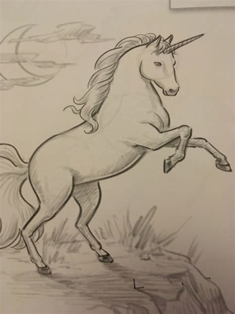 Unicorn Horse, Unicorn Art, Horse Rearing, Unicorn Drawing, Drawing Sketches, Drawings, Horses ...