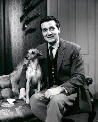 Patrick MacNee Poster and Photo 1027300 | Free UK Delivery & Same Day Dispatch Available