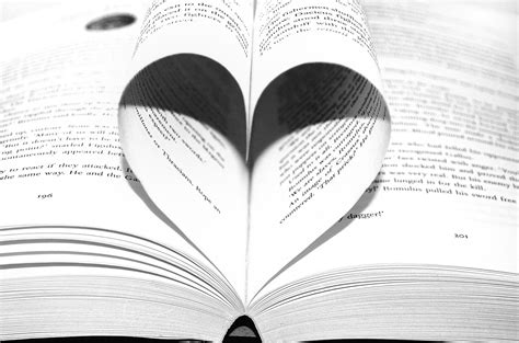 Love Of Books Free Stock Photo - Public Domain Pictures