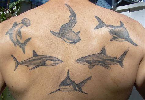 Shark Tattoos Designs, Ideas and Meaning | Tattoos For You