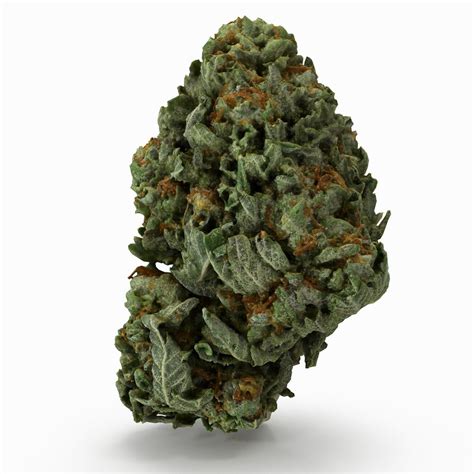 Cannabis bud 3D model - TurboSquid 1155414