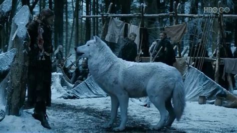 The Meaning Behind the Stark Direwolves | Thrones Amino