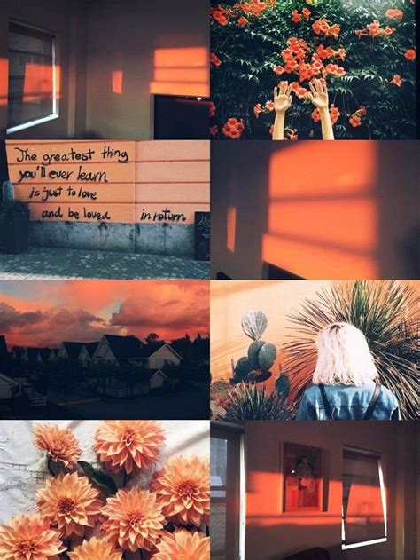 Aesthetic Roses, Orange Aesthetic, Aesthetic Drawing, Aesthetic Colors, Aesthetic Collage ...