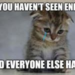 Sad kitten Meme Generator - Imgflip