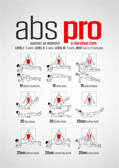 Abs Pro Workout (con imágenes) | Rutinas de ejercicios abdominales ...