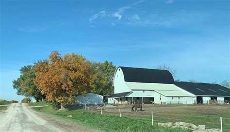 Amish Horses: Amish Farm Fall Tour