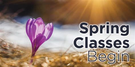 Spring-term Classes Begin | Advising Resources