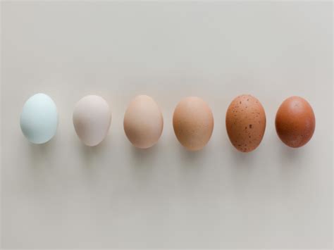 What is the 3 Day Egg Diet? How to, Benefits & Draw Backs - Dr. Robert Kiltz