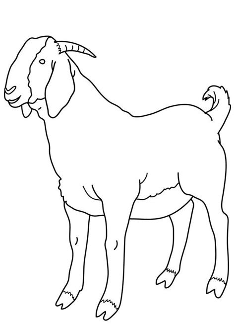 Goat Coloring Pages for kids | Coloring pages, Disney coloring pages, Minions coloring pages