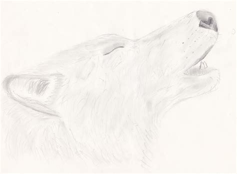 Howling wolf by Davidjuuh on Newgrounds