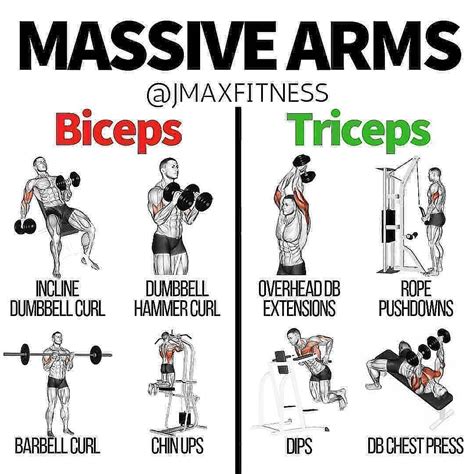 SAVE THIS POST IF YOU WANT MASSIVE ARMS. . MASSIVE ARMS By @muscle.matics Here are the best ...