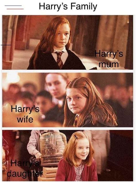 Harry Potter: 10 Memes That Prove Ginny Was Right For Harry