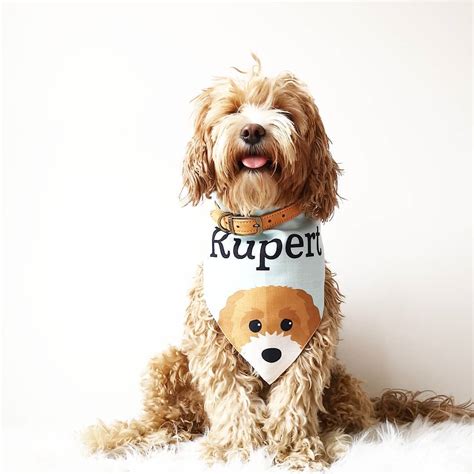 Rupert is Definitely the Cutest Model on Instagram - Our Funny Little Site