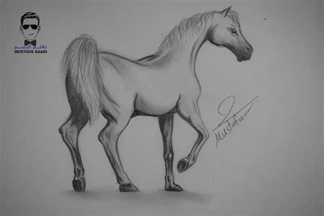 تعلم كيفية رسم حصان بالرصاص مع الخطوات للمبتدئين | Animal drawings, Art drawings, Sketches