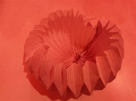 Colapsos, dobleces de ángulos iguales. Daniela Hernández | Paper lamp, Giphy, Novelty lamp