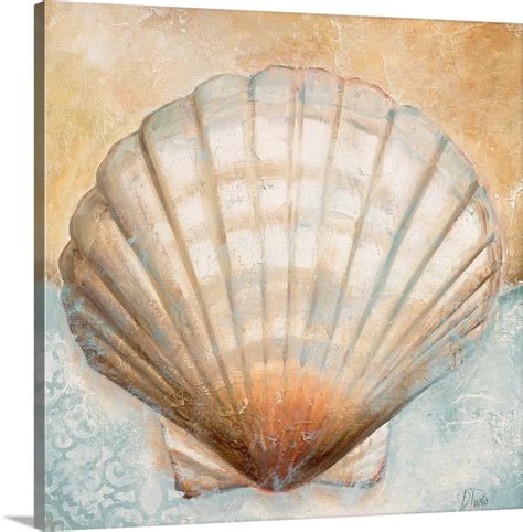 Seashell Prints - tyjsergdhj2