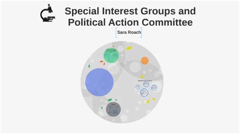 Special Interest Groups and Political Action Committee by Sara Roach on ...