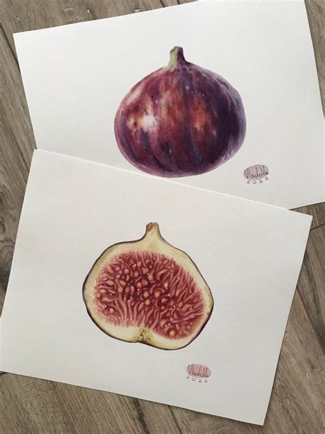 Figs Watercolor Painting Original Watercolor Original - Etsy