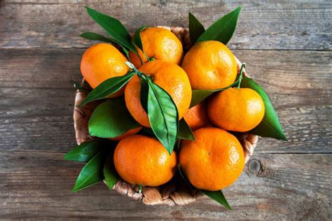 Clementine vs mandarin: what are the differences? - Plantura