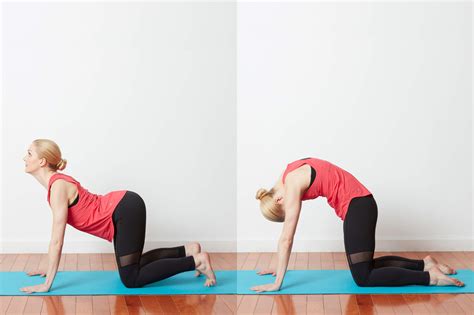 6 Yoga Poses for Better Posture