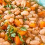 Instant Pot Navy Bean Soup (No Soak recipe!) - The Feathered Nester