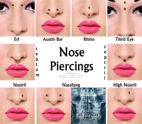 Types Of Piercings And Their Names - Musely