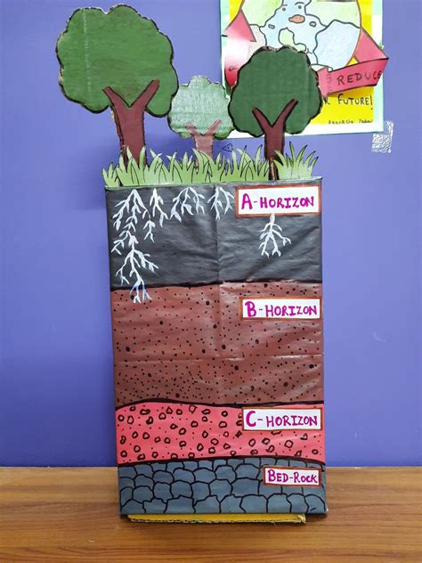 Science-cyclopedia: Self - made model of Soil profile